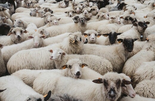 ΛΕΣΒΟΣ ΕΚΤΑΚΤΗ ΑΝΑΓΚΗ ΑΦΘΩΔΗΣ ΠΥΡΕΤΟΣ