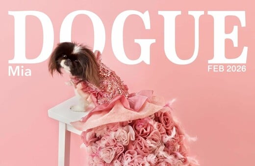 VOGUE DOGUE ΑΓΩΓΗ ΠΕΡΙΟΔΙΚΟ ΣΚΥΛΟΙ
