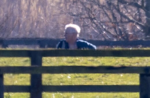 ΑΝΤΡΙΟΥ ΣΥΛΛΗΨΗ ΠΡΩΤΗ ΔΗΜΟΣΙΑ ΕΜΦΑΝΙΣΗ