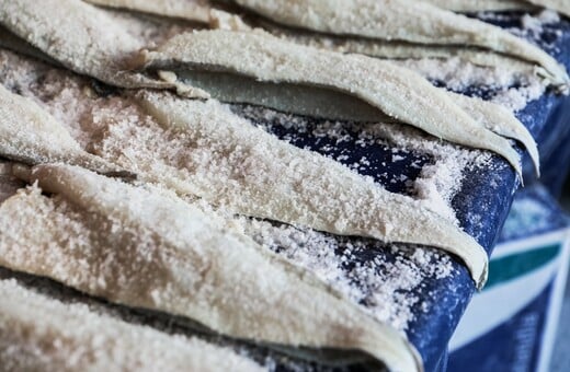 ΜΠΑΚΑΛΙΑΡΟΣ 25Η ΜΑΡΤΙΟΥ