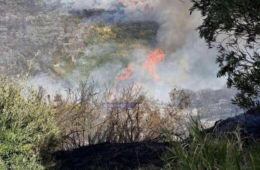 ΦΩΤΙΑ ΚΕΦΑΛΟΝΙΑ 