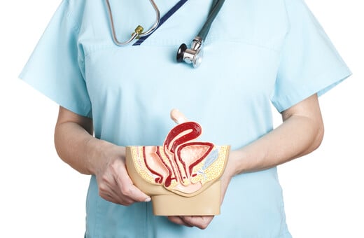 ΚΛΕΙΤΟΡΙΔΑ ΑΝΑΤΟΜΙΑ ΕΠΙΣΤΗΜΟΝΙΚΗ ΕΡΕΥΝΑ