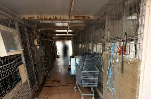 ΑΜΠΕΛΟΚΗΠΟΙ ΠΑΡΑΝΟΜΗ ΕΚΤΡΟΦΗ ΚΟΤΟΠΟΥΛΑ ΔΙΚΟΓΡΑΦΙΑ ΤΑΡΑΤΣΑ