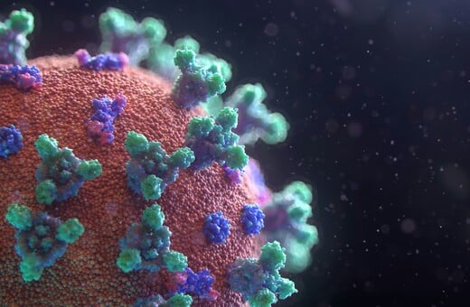 ΚΟΡΩΝΟΙΟΣ CICADA ΣΥΜΠΤΩΜΑΤΑ ΕΙΔΙΚΟΙ