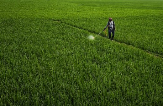 ΚΑΡΚΙΝΟΣ ΦΥΤΟΦΑΡΜΑΚΑ ΕΡΕΥΝΑ