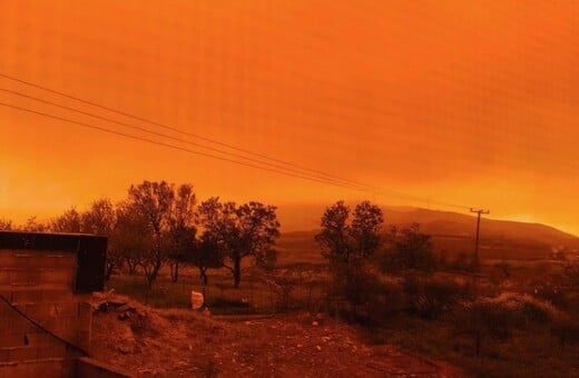 ΚΡΗΤΗ ΑΦΡΙΚΑΝΙΚΗ ΣΚΟΝΗ ΠΟΡΤΟΚΑΛΙ