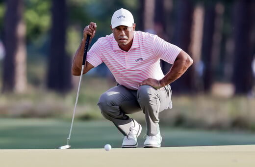 ΤΑΙΓΚΕΡ ΓΟΥΝΤΣ ΤΡΟΧΑΙΟ ΑΤΥΧΗΜΑ ΑΠΟΣΥΡΣΗ