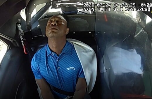 TIGER WOODS ΤΑΪΓΚΕΡ ΓΟΥΝΤΣ ΣΥΛΛΗΨΗ