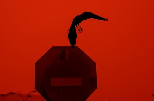 ΚΡΗΤΗ ΑΦΡΙΚΑΝΙΚΗ ΣΚΟΝΗ ΗΡΑΚΛΕΙΟ ΣΥΓΚΕΝΤΡΩΣΕΙΣ