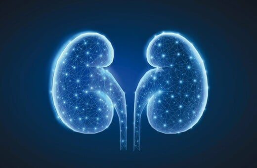 Η Boehringer Ingelheim εντείνει τις δράσεις της για τη χρόνια νεφρική νόσο