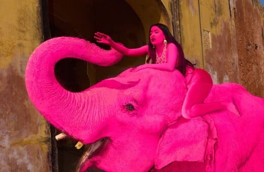 ΡΟΖ ΕΛΕΦΑΝΤΑΣ ΑΝΤΙΔΡΑΣΕΙΣ