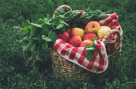 ΦΥΤΙΚΕΣ ΙΝΕΣ ΠΟΤΕ