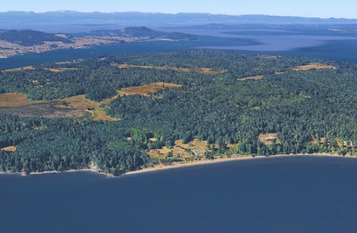 ΝΕΚΡΑ ΣΚΥΛΙΑ ΣΙΑΤΛ ΗΠΑ