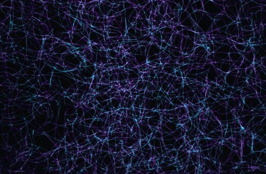 ΕΓΚΕΦΑΛΟΣ ΨΥΧΕΔΕΛΙΚΕΣ ΟΥΣΙΕΣ ΝΕΥΡΩΝΕΣ