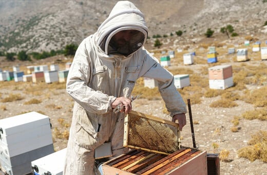 Πώς φροντίζεις 600 κυψέλες στο νησί της Καρπάθου;