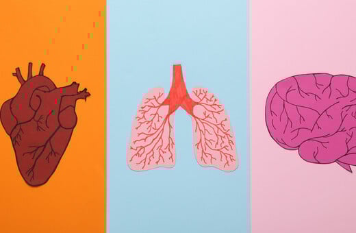 Καρδιοπνευμονικό ταξίδι φροντίδας, με την καρδιά και τον πνεύμονα να μιλούν την ίδια γλώσσα στη ΧΑΠ