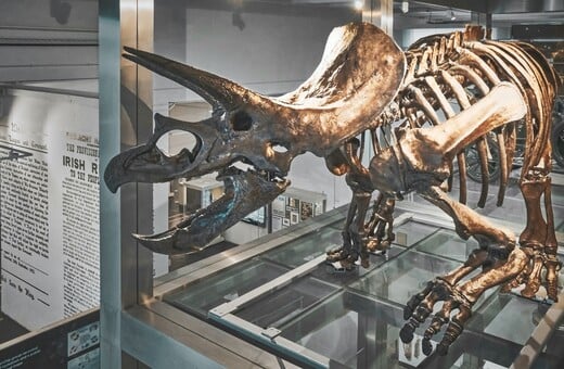 ΔΕΙΝΟΣΑΥΡΟΙ ΑΠΟΛΙΘΩΜΑΤΑ ΔΗΜΟΠΡΑΣΙΑ