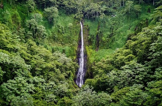 Ταξίδι στο Νησί των Θησαυρών 