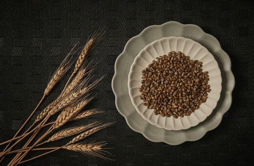 ΑΡΧΑΙΑ ΔΗΜΗΤΡΙΑΚΑ ΔΙΑΤΡΟΦΗ ΜΟΔΑ