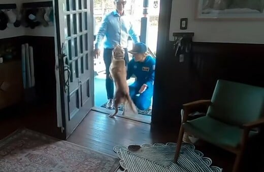 ARTEMIS II ΚΡΙΣΤΙΝΑ ΚΟΧ ΣΚΥΛΟΣ ΕΠΑΝΕΝΩΣΗ