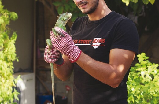 Η ζωή μου με τον Γιάνγκο