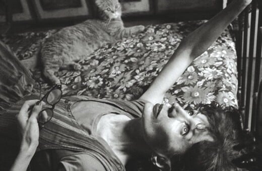 Η Σέρκα, από τη Ζυράννα Ζατέλη