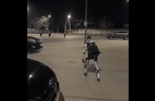 Βαρσοβία: Viral ρομπότ που κυνηγά αγριογούρουνα στους δρόμους