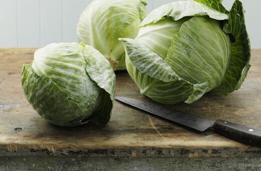 Γιατί τρεντάρει το λάχανο φέτος;