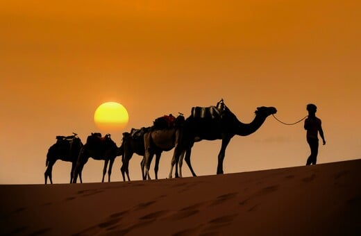 ΤΟΥΡΙΣΜΟΣ 2026 ΑΙΓΥΠΤΟΣ ΑΙΘΙΟΠΙΑ ΣΕΥΧΕΛΛΕΣ