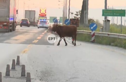 ΤΑΥΡΟ ΕΘΝΙΚΗ ΟΔΟΣ ΘΕΣΣΑΛΟΝΙΚΗ