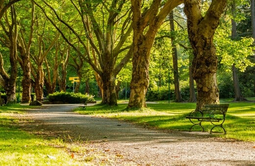 ΗΠΑ ΠΥΡΟΒΟΛΙΣΜΟΙ ΠΑΡΚΟ ΝΕΚΡΟΙ