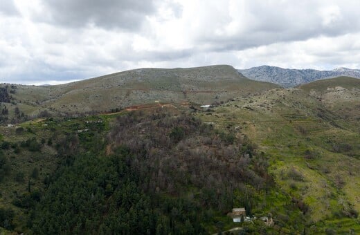 2.000 νέα δέντρα από το φυσικό μεταλλικό νερό ΒΙΚΟΣ σε Χίο και Βόρεια Εύβοια