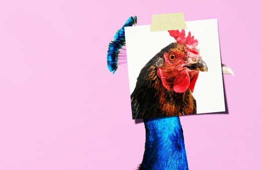 Τα πτυχία ή για τα παθήματα της αριστείας 