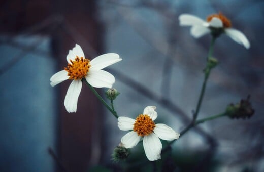 ΚΑΙΡΟΣ ΒΡΟΧΕΣ ΠΕΜΠΤΗ