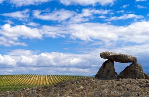 ΠΑΡΙΣΙ ΑΝΤΙΚΑΤΑΣΤΑΣΗ ΠΛΗΘΥΣΜΟΣ
