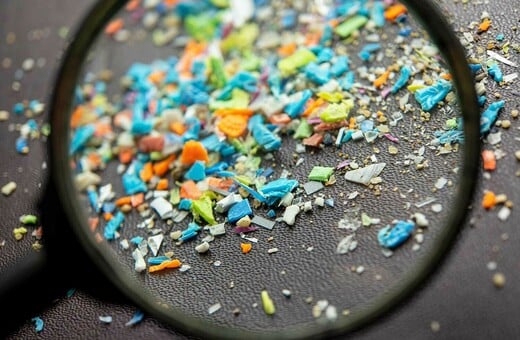 ΝΕΡΟ ΜΙΚΡΟΠΛΑΣΤΙΚΑ ΔΕΝΤΡΟ