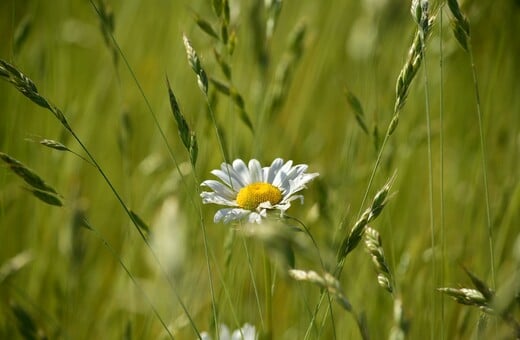 ΚΑΙΡΟΣ ΒΡΟΧΕΣ ΗΛΙΟΣ ΣΑΒΒΑΤΟΚΥΡΙΑΚΟ