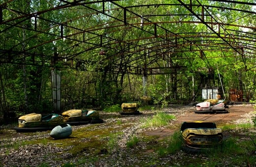 ΤΣΕΡΝΟΜΠΙΛ ΑΛΕΠΟΥΔΕΣ ΑΡΚΟΥΔΕΣ ΒΙΣΟΝΕΣ ΠΥΡΗΝΙΚΗ ΚΑΤΑΣΤΡΟΦΗ