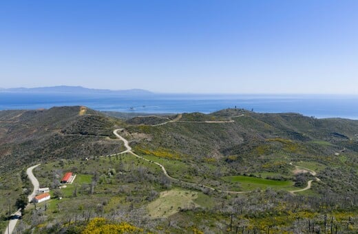 2.000 δέντρα για τη Γη: ΒΙΚΟΣ και we4all δίνουν ξανά ζωή σε Χίο και Βόρεια Εύβοια