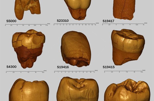 Επιστήμονες ανασυνθέτουν μία από τις αρχαιότερες γνωστές κοινότητες Νεάντερταλ