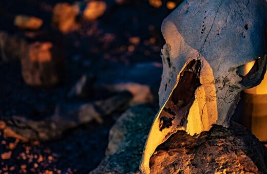 ΠΤΗΝΑ ΔΕΙΝΟΣΑΥΡΟΙ 