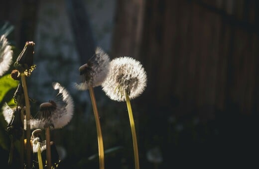 ΚΑΙΡΟΣ ΠΡΩΤΟΜΑΓΙΑ