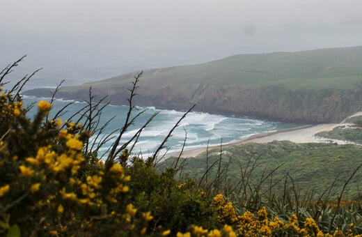 ΚΑΙΡΟΣ ΜΑΡΟΥΣΑΚΗΣ ΠΡΩΤΟΜΑΓΙΑ
