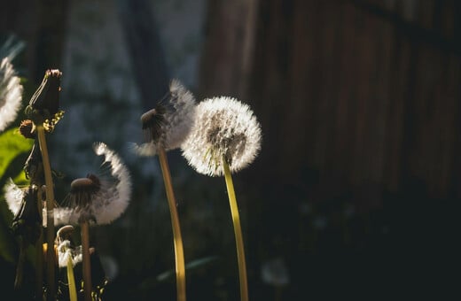 ΚΑΙΡΟΣ ΜΑΡΟΥΣΑΚΗΣ ΠΡΩΤΟΜΑΓΙΑ