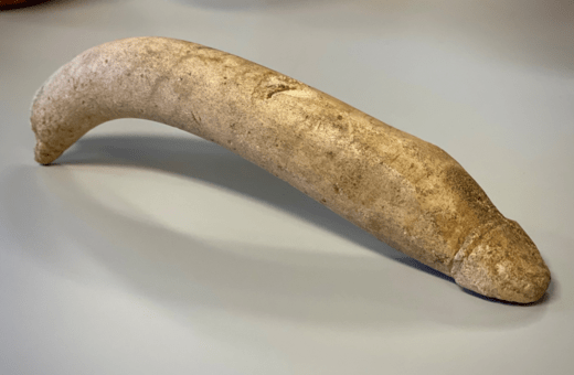 Ολλανδικό μουσείο βρήκε ρωμαϊκό φαλλό 20 εκατοστών σε ξεχασμένη συλλογή 16.000 κουτιών