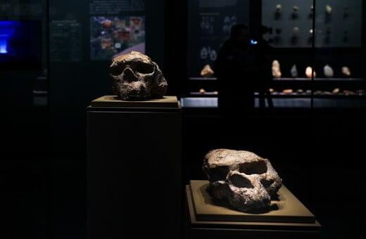 HOMO ERECTUS ΝΤΕΝΙΣΟΒΑΝ ΑΝΑΠΑΡΑΓΩΓΗ ΠΡΟΪΣΤΟΡΙΑ
