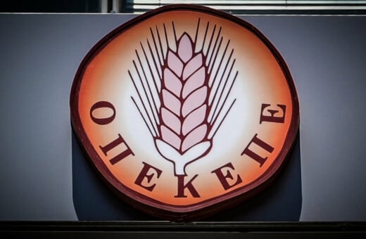 ΟΠΕΚΕΠΕ ΔΙΚΟΓΡΑΦΙΑ ΑΘΑΝΑΣΙΟΥ ΧΑΤΖΗΒΑΣΙΛΕΙΟΥ