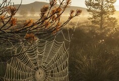 Η φωτογραφία της ημέρας