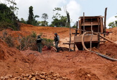 Αμαζόνιος: Πάνω από 10.000 τ.χλμ. τροπικού δάσους αποψιλώθηκαν μέσα σε 12 μήνες
