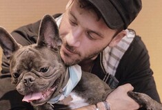 Αντίνοος Αλμπάνης: Ο σκύλος μου ήταν «βάλσαμο» στη μάχη με τον καρκίνο